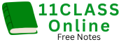 11class.online