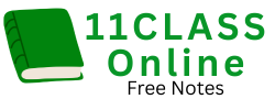 11class.online